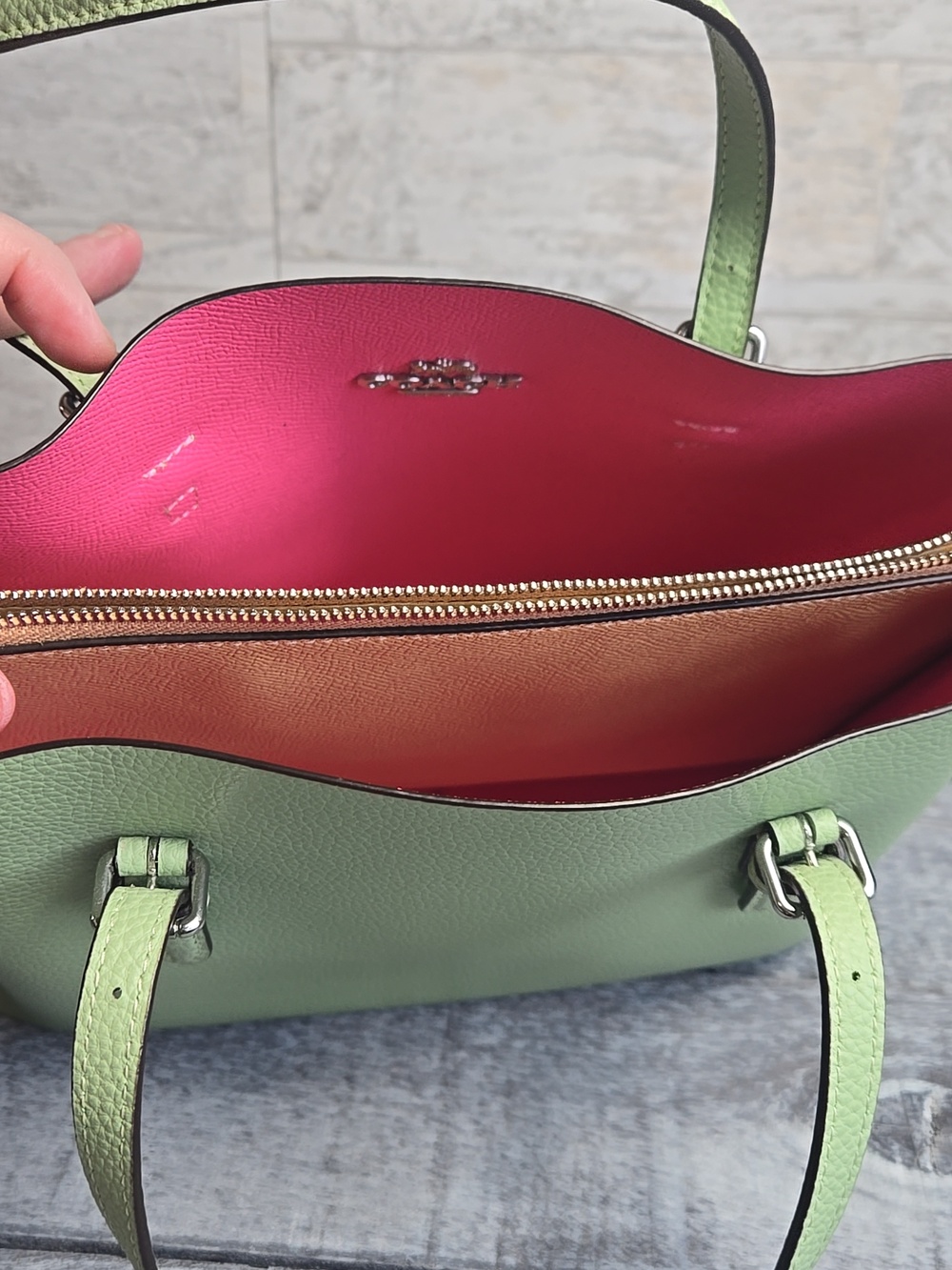 Coach Mollie Tote 25 with Matching Wallet Pale Pistachio Set Crossbody Strap - Picture 8 of 16